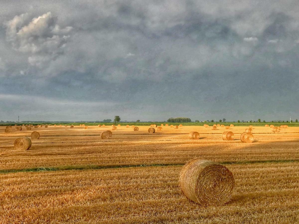 Al Vecchio Fienile Panzió San Michele al Tagliamento Kültér fotó